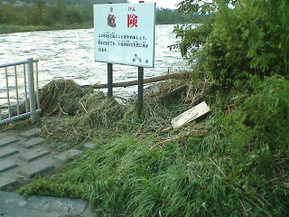 この看板のあたりの草が倒れているのを見ると、ここら辺まで水があがってきたんですね。
